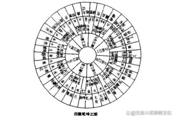 命运之火与水：探索五行之中的生命智慧与平衡