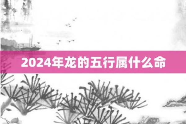 明年出生的宝宝是什么命？揭开2024年属龙宝宝的命运与幸福之道