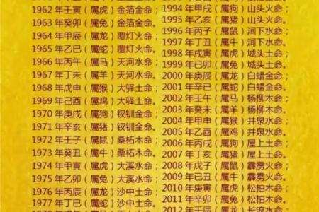 明年出生的五行命运解析：你的小宝宝将成为什么样的人？