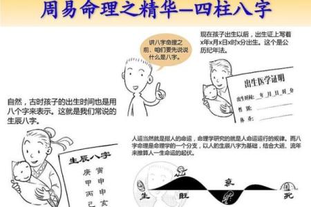 解析名字带“薇”的五行属命，揭示其独特的命理特征