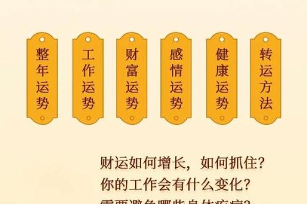 命理中的命运与自我：我们究竟能改变多少？