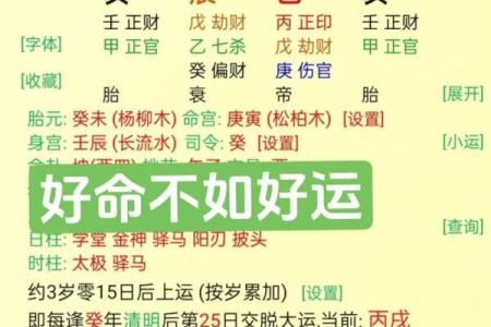 男火命与最佳搭配命理解析：火与土的完美结合