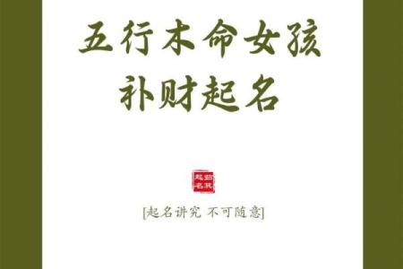 木命人最佳合伙伴：与火、土、木命的幸福相遇