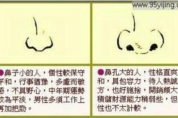 揭开命运的奥秘：如何通过真命分析找到人生方向