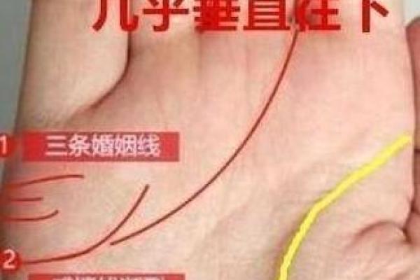 路旁土命女人的命运与性格：探寻她们的特别之处