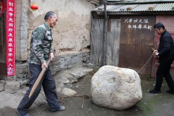 母牛难产：生命的挑战与农民的坚守