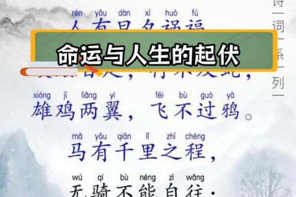 亏了命还相生：探寻生命的无常与重生的意义