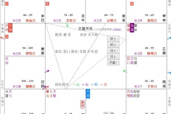 解读命宫中的廉贞：命主的性格与运势剖析