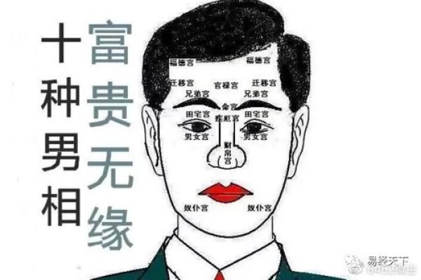 解密面相：男人哪些面相预示着天生的财富命？