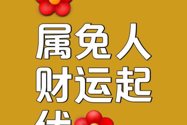 明年属兔的人命运详解：财运、事业、感情全解析