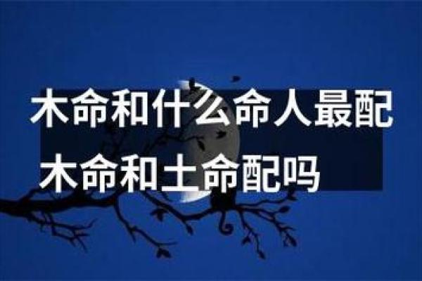 木命人的职业选择与发展方向探讨