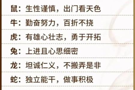 卯时出生的生肖命理解析：探秘兔年运势与性格特征