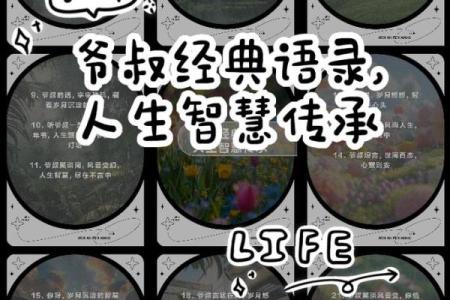 命不贱：人生如棋，懂得珍惜才是赢家