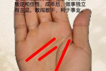 看手相揭示男命女命的秘密与人生轨迹