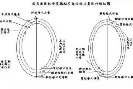 揭秘：命格高贵者的独特征兆与人生轨迹