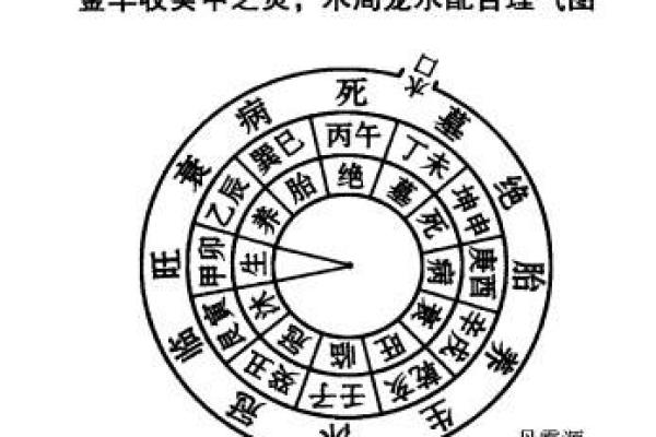 卯木的神秘力量：探寻命局中的数字与生命之道