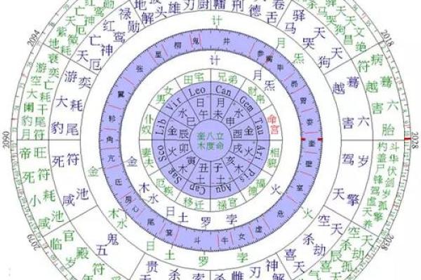 龙年8月出生男命格解析：性格特点与未来运势探讨