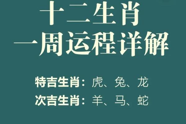 2023年生肖与命运：解密兔年运势与人生启示