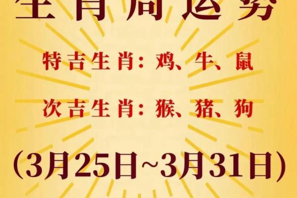 2023年生肖与命运：解密兔年运势与人生启示