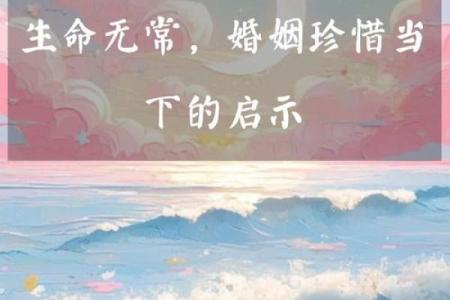 命运的无常与珍惜当下的启示