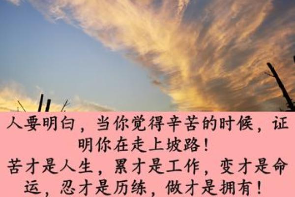 解密龙历四月十五：命运背后的深意与启示