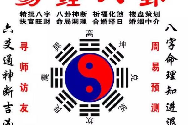 明年五月十六命理解析：揭示你未来的运势与机遇