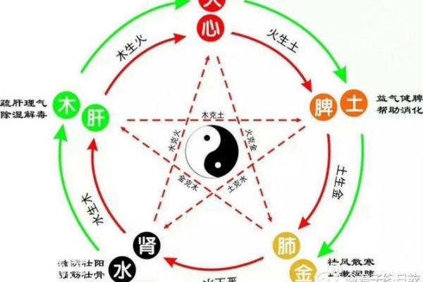 命与克：探索五行命理之道与相生相克的深刻智慧