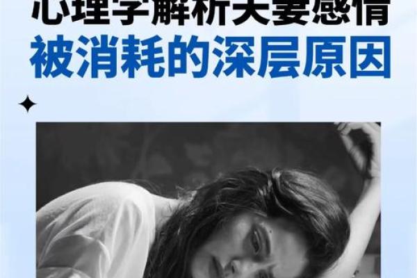 解析男命夫妻星乙木的象征与影响：情感与性格的深层关系