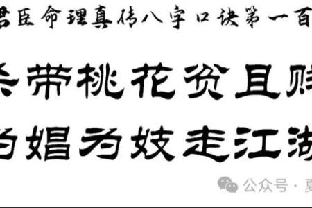 男命带四酉的深刻解析与生活启示