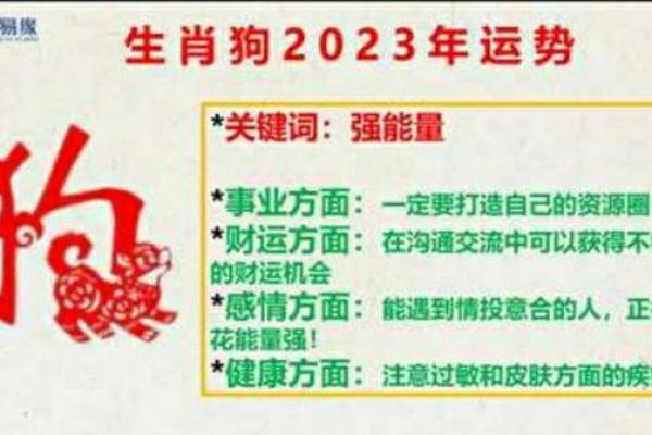 解密命犯六绝：如何看待命运与运势之间的微妙关系