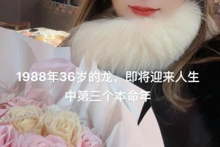 龙女大林木命与哪种命最为相配？探寻婚姻的和谐美好！