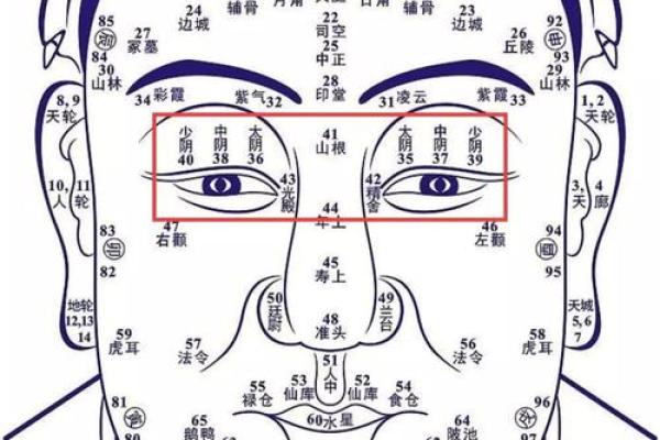 巨日坐命的特质与适用命格探讨