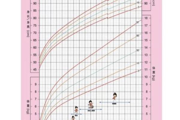 明年兔年出生的宝宝究竟是什么命，命运解析与养育指南！