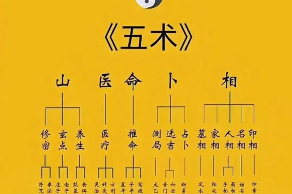 解密“木命”：从名字中的笔画看生命能量的秘密