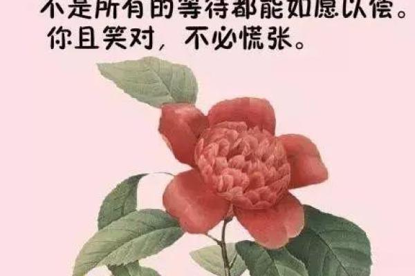 命如风中烛，四字成语中的人生哲理