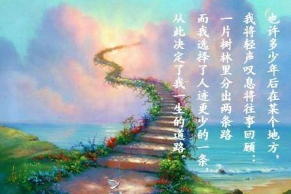 命带20飞蝴蝶：人生的轨迹与自由之舞的探索