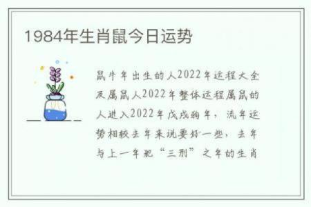 明年要宝宝的最佳命运：为2024年出生的孩子选择合适的生肖与命格