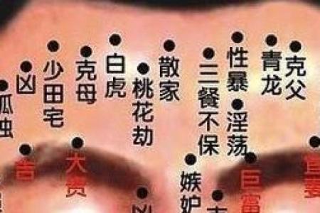 了解六月份出生的人的命运：揭秘六月初八的生肖特性与性格