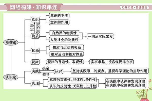 命彼倌人：探索命理背后的世界与生活意义