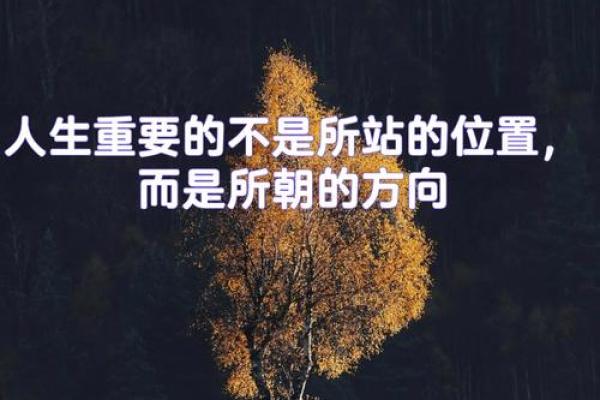 历史天才们短命的背后：为何智慧与生命常常不成正比？