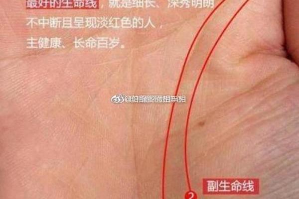 历史天才们短命的背后：为何智慧与生命常常不成正比？