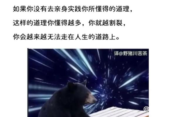 命不如人，时不我待——活出精彩人生的思考