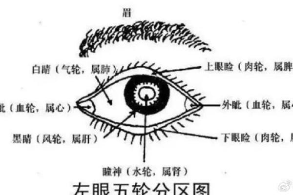 脸上没肉的命运：看相学中的深意与生活启示