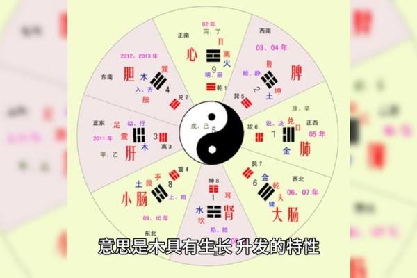 律师职业命理解析：五行属性与事业发展的关系