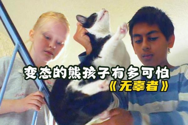 猫为什么会有九条命？探寻猫咪的神秘传说与生存智慧