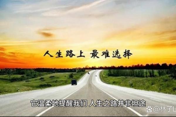 命与运：人生旅途中的双重指引与选择