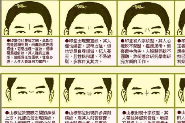 眉毛浓厚的男人命运解读 眉型与性格、运势的密切关系