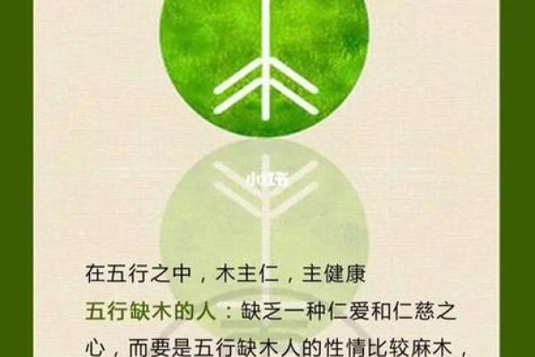 木命与火命的最佳生意搭配：共创辉煌的商业之路