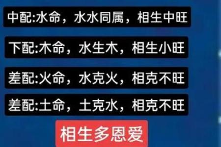 木命人如何通过五行相生找到财运之道