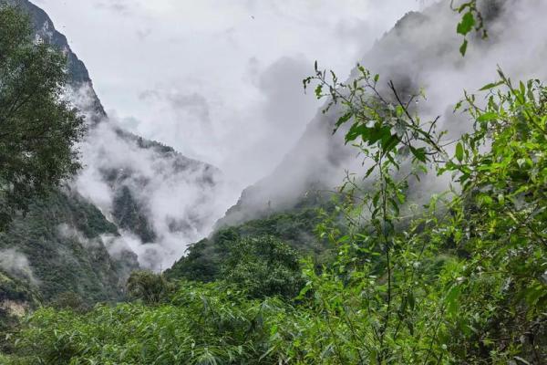 路旁土命详解：在命理中，土的力量如何影响人生走向？